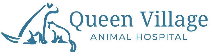 Queen Village Animal Hospital