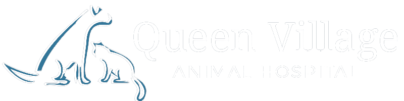 Queen Village Animal Hospital